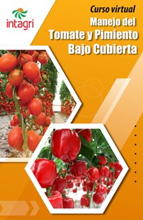 Curso virtual: Manejo del Tomate y Pimiento Bajo Cubierta