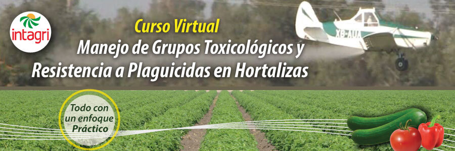 Manejo-de-Insecticidas-en-Base-a-los-Grupos-Toxicológicos