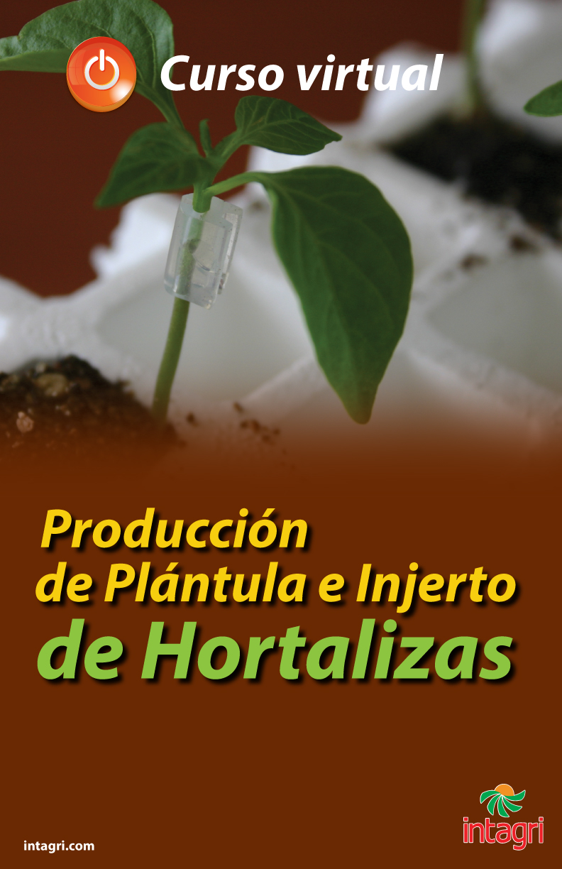 Curso Intensivo sobre Producción de Plántulas e Injertos en Hortalizas