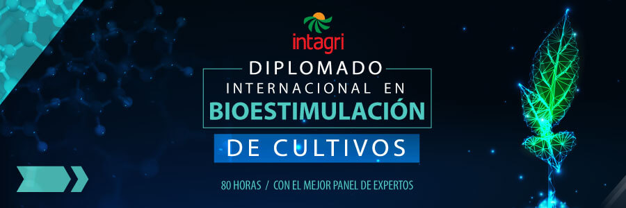 diplomado de bioestimulacion