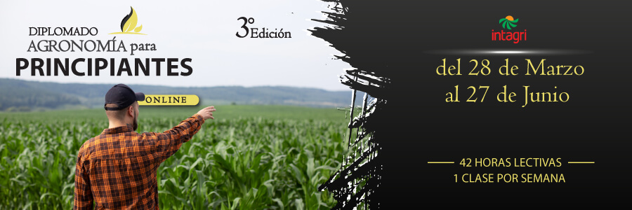 diplomado en agronomía para principiantes