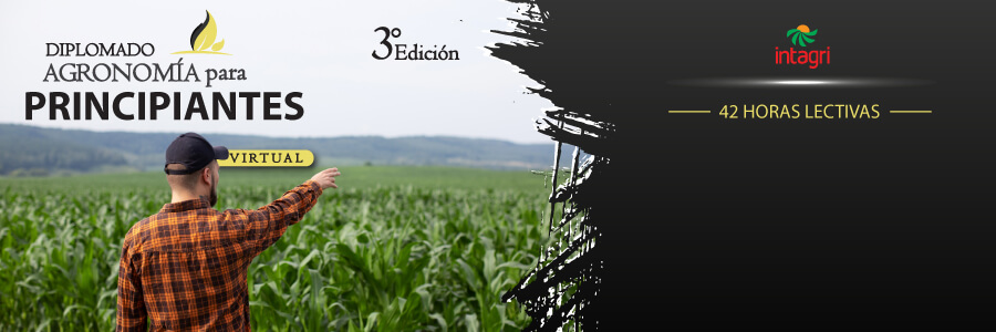 diplomado en agronomía para principiantes
