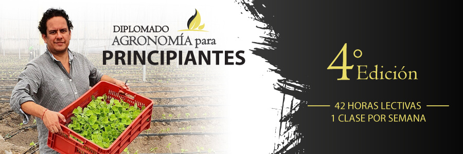 diplomado en agronomía para principiantes