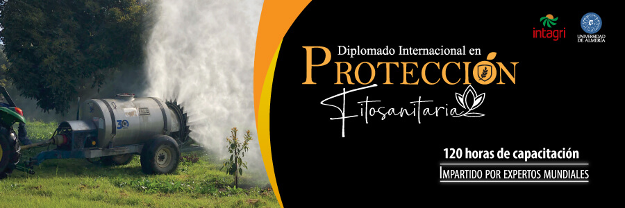 Diplomado Internacional en protección fitosanitaria