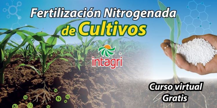 Fertilización Nitrogenada de Cultivos