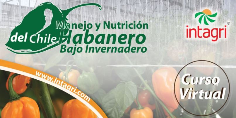 Nutrición de Chile Habanero