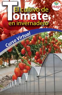 Curso virtual: El Cultivo de Tomate en Invernadero
