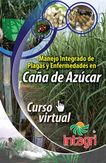 Curso virtual: Manejo Integrado de Plagas y Enfermedades en Caña de Azúcar