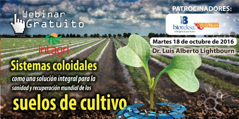 Webinar