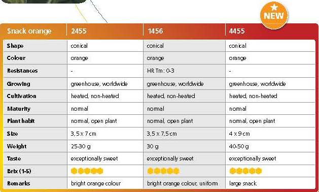 Snack orange