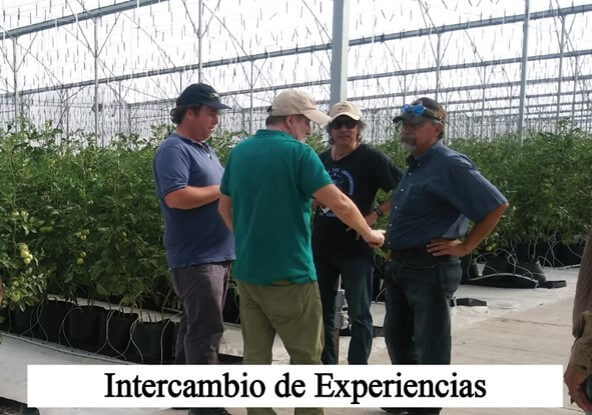 Intercambio de experiencias
