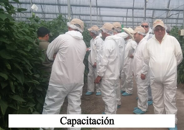 Capacitacion de intagri