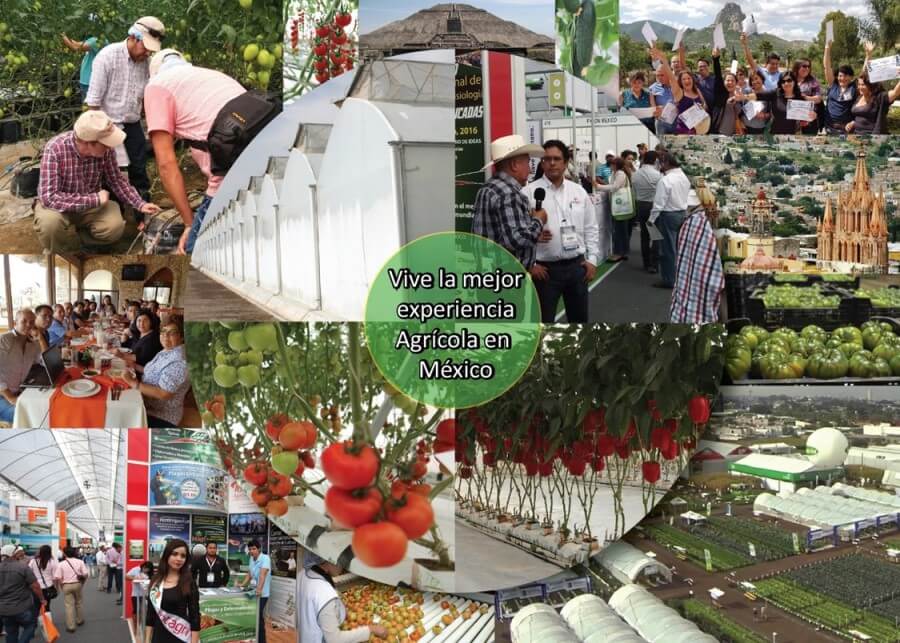 Giras tecnicas a guanajuato y expo agroalimentaria