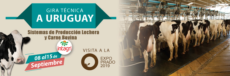 expo prado en uruguay