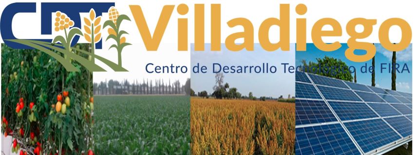Villadiego