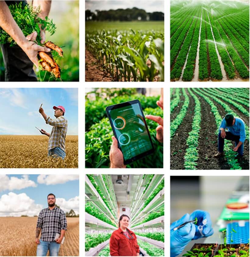 Expo Agroalimentaria