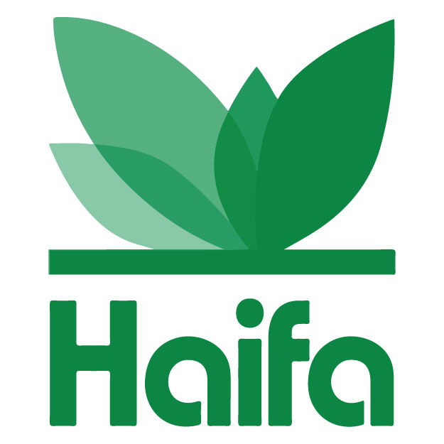 Haifa