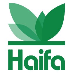 Haifa