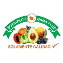 Agrotecnica de cupatitzio 