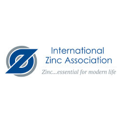 Zinc IZA