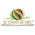 Tomate de Oro