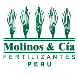Molinos