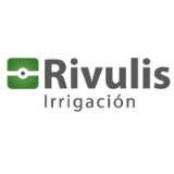 Rivulis