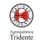 Tridente