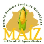 Comité Maíz Aguascalientes