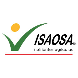 Isaosa