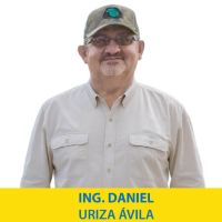 Ing. Daniel Uriza Ávila