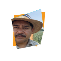 Dr. Luciano Martínez Bolaños