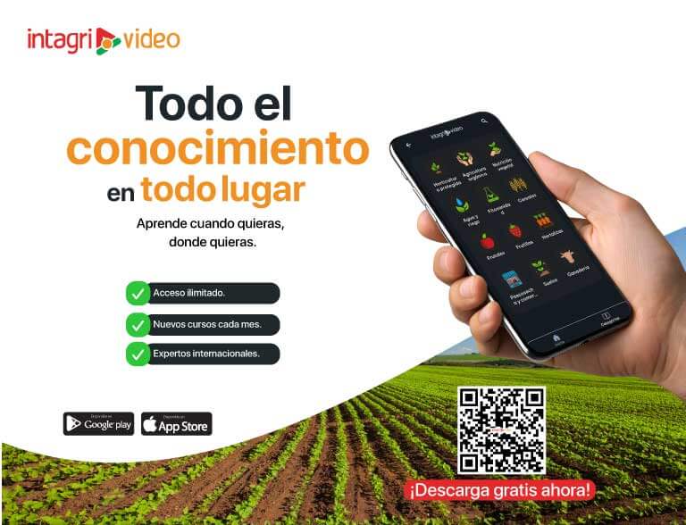 Descargar la app