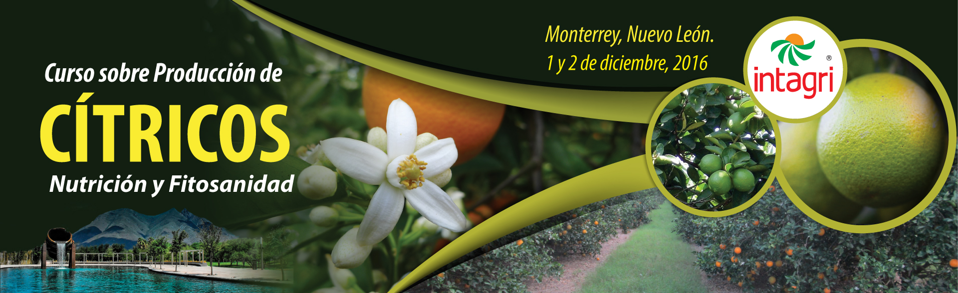 curso de produccion de citricos